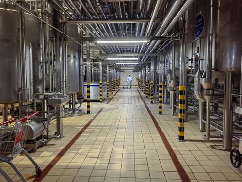 二十四節(jié)氣看蒙牛丨夏至走進蒙牛低溫天津工廠