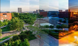 蹦床回家之路 天津科技創新助力全民健身新風尚