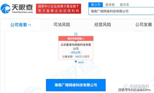 映客全資收購海南廣翔網絡，深化數字文化創意內容布局
